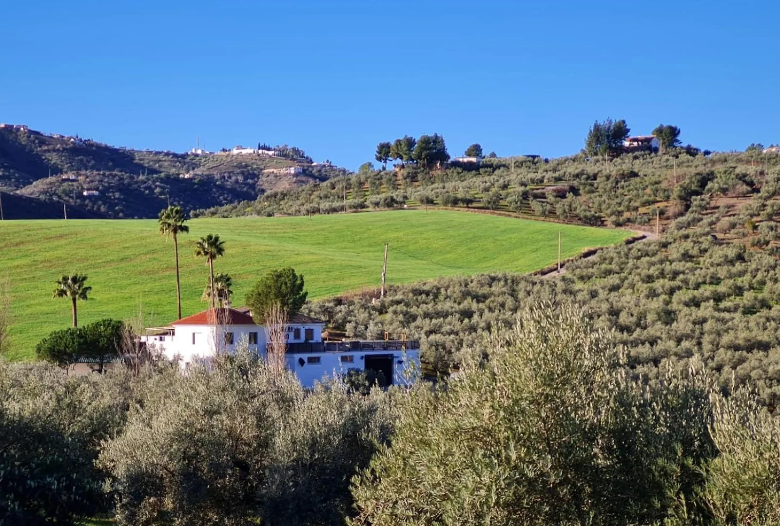Casa Metaverdi Colmenar 0*,